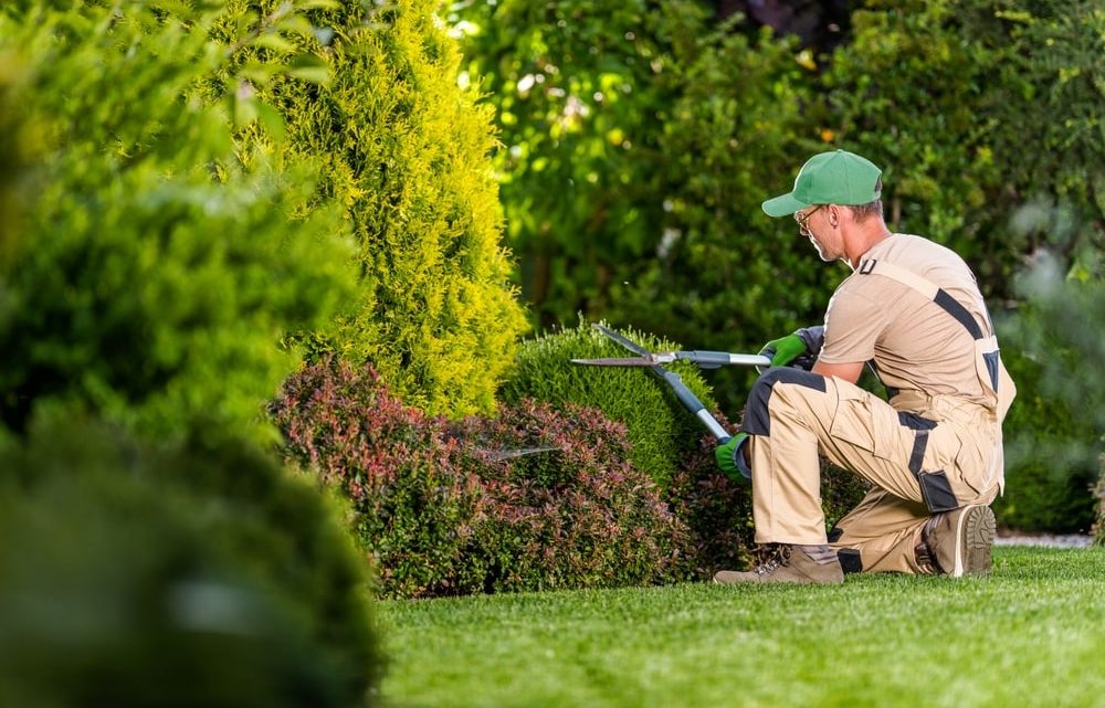 Comment aménager son jardin pour créer un espace extérieur de rêve ?